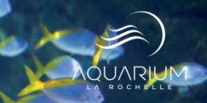 Aquarium La Rochelle