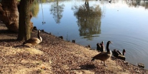 Parc animalier Friedel