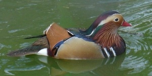 Parc animalier La Bannie