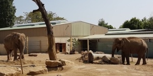 Touroparc Zoo