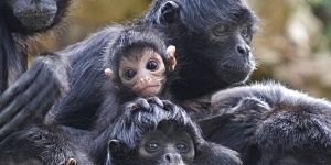 Zoo des Sables d’Olonne