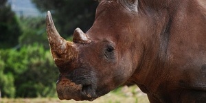 Zoo de la Barben