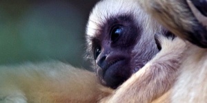 Parc zoologique et botanique de Mulhouse