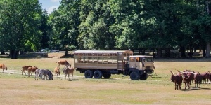 Zoo Safari de Thoiry